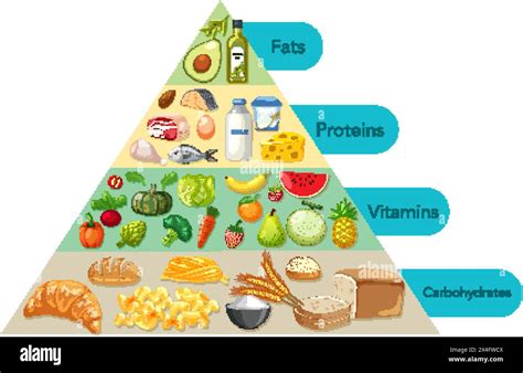 Balanced Diet Project 的图像结果