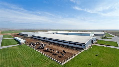 How to Set Up Proper Infrastructure for a Dairy Farm in India