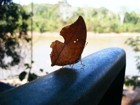 BERRACO DEL MADIDI (2026) All You Need to Know BEFORE You Go (with ...