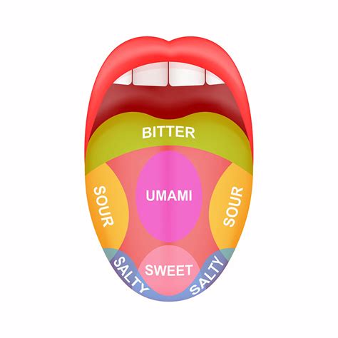 What We Knew About the Tongue Was Wrong: 5 Ways to Better Understanding Our Sense of Taste ...