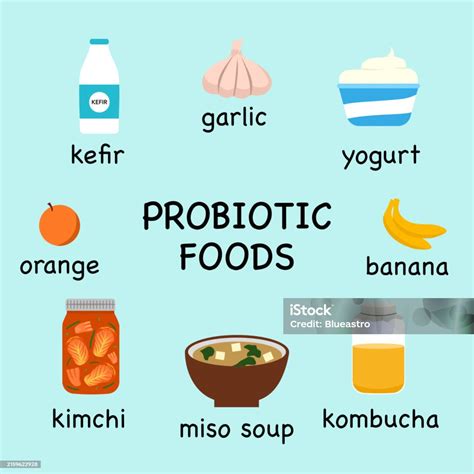 Set Of Probiotic Foods There Are Kombucha Kimchi Banana Mico Soup Yogurt And Kefir Food With The ...