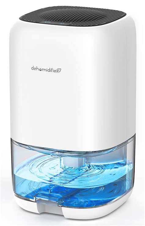 18 Best Humidifier Dehumidifier Combo Picks for Your Home