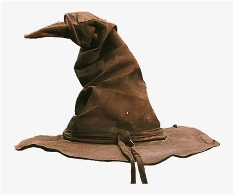 Image result for Sorting Cap PNG