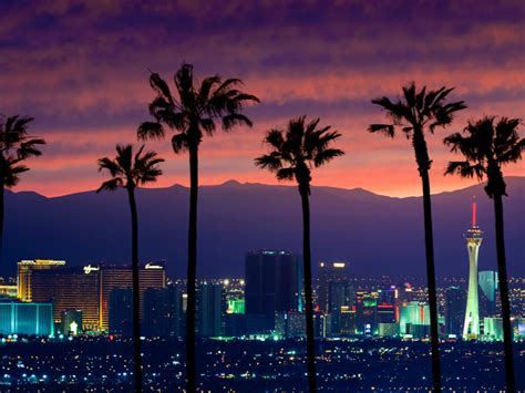 Image result for Seattle Protesters Hit