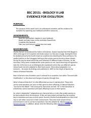 Graph of Evolution Lab Write Up 的图像结果