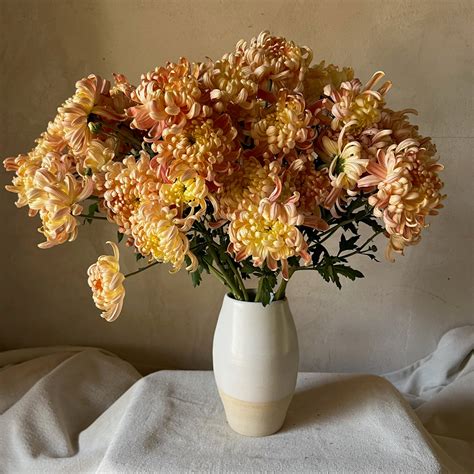 River City Mum – 3 Porch Farm