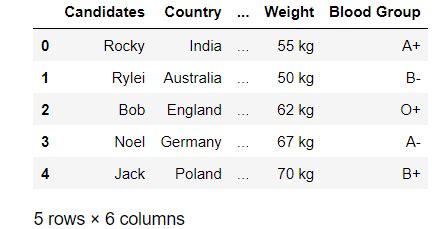 Image result for Python Pretty Pandas Demo