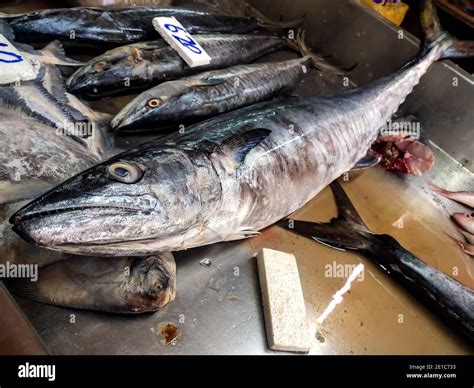 Seafood Market - Fresh Sea Fishes On Fish Market With Mentioned Rate ...