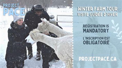Winter Petting Zoo - January 2024, Project PACE, Pierrefonds, 19 ...