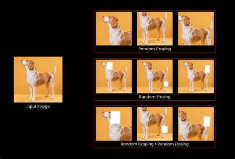 Image result for Data Augmentation for Computer Vision