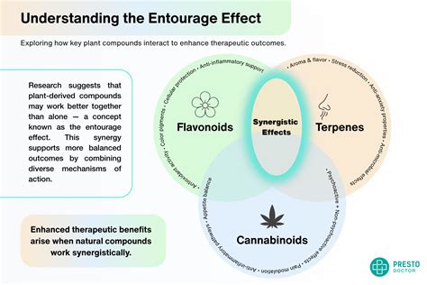 What Is Amotivational Syndrome? - PrestoDoctor