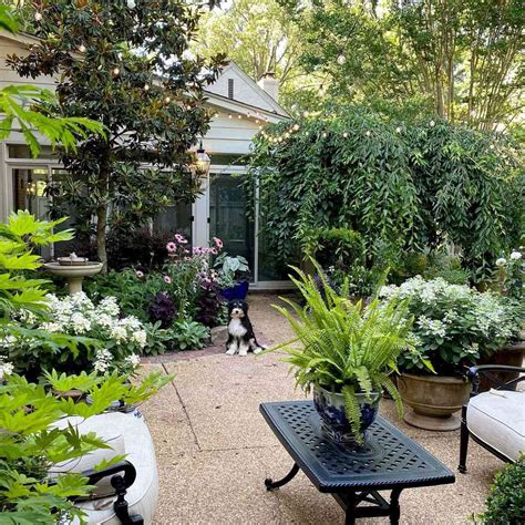 Outdoor Patio Designs With Planters 75 Patio Container Garden Ideas