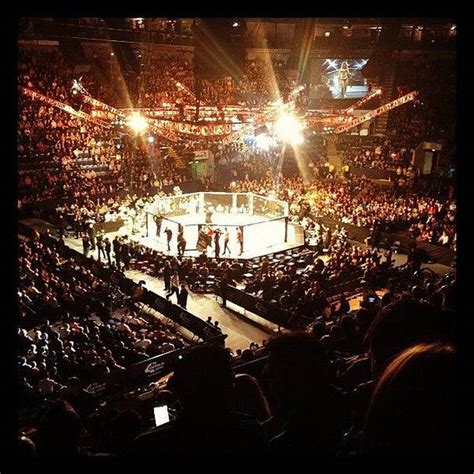 UFC Boxing 的图像结果