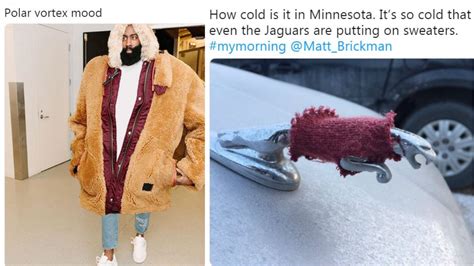 Animation Memes Polar Summit 的图像结果