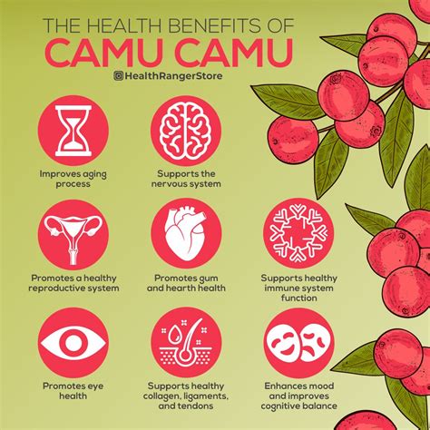 Amazing facts and health benefits of Camu Camu. | Coconut health ...