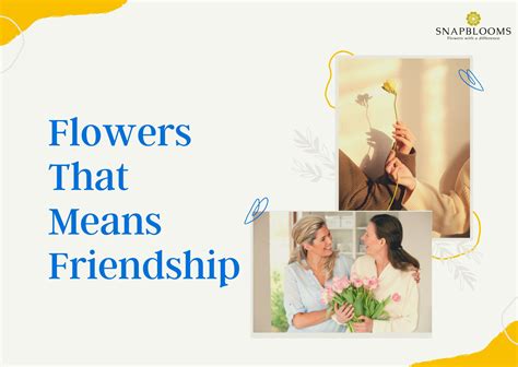 17 Flowers That Means Friendship - SnapBlooms Blogs