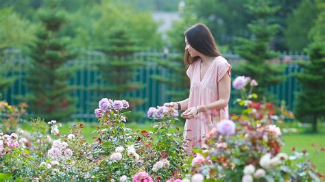 Young girl in a flower garden among beautiful roses. Smell of roses 19646490 Stock Video at Vecteezy