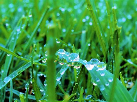 Image result for Windows Vista Desktop Computer