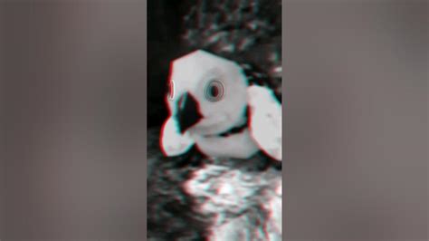 Image result for Promo Codes Roblox Bird Promo Code