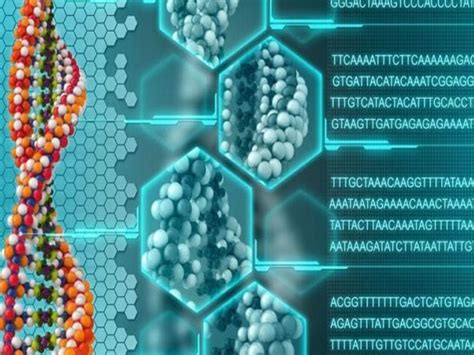 Molecular and Genetic Characterization of Inborn Errors of Immunity ...