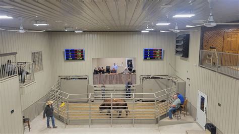 National Beef Wire | Welcome Lanesboro Sales Commission