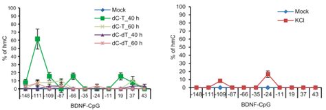 Image result for Bdmf Modulation