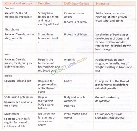 Image result for Class 6 Science Chapter 1 Components of Food