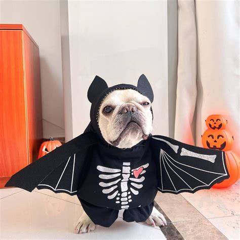 Dog Bat Costume – Frenchiely