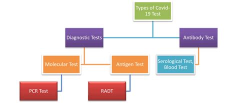 Image result for Covid Testing Examples