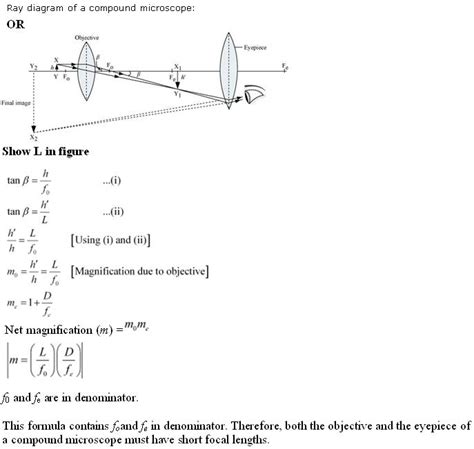Image result for Compound Microscope Diagram Class 12