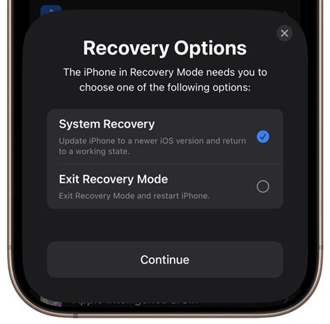 Image result for IPhone 12 Recovery Mode