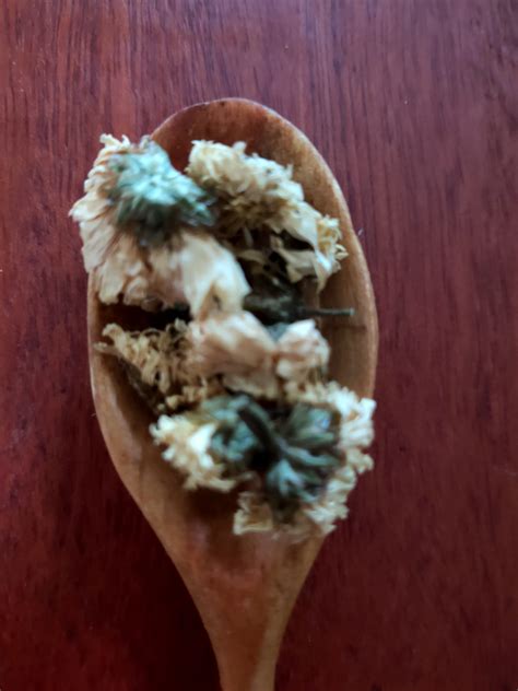 Chrysanthemum Flowers – Small Bag | Mimi Love Enterprises