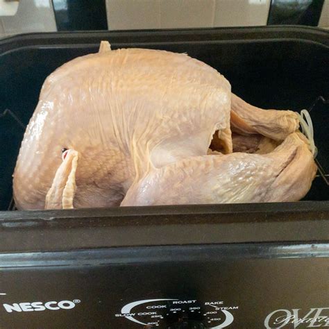 How to Cook a Turkey in a Roaster 的图像结果