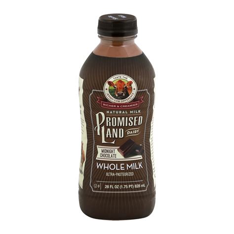Promised Land Midnight Chocolate Milk - 28 fl oz 28 fl oz | Shipt