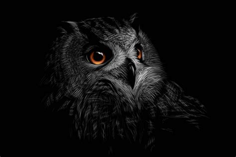 Owl Dream Meaning and Interpretation in Different Mythologies