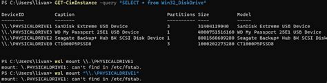 Find External Drive Windows 11 WSL 的图像结果