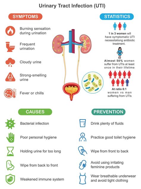 Urinary Tract Infection UTI Symptoms Causes and Prevention Medical Infographic for Health ...