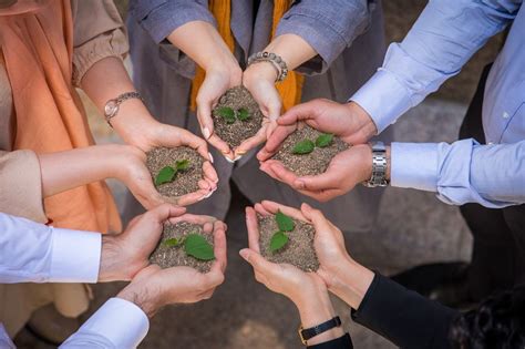 Dana Energy Office Photos