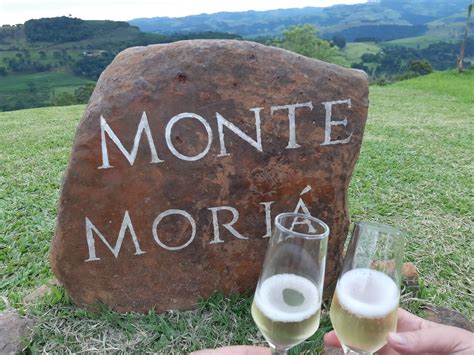 Image result for Python Anchieta E