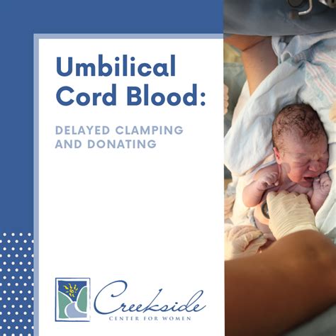Bildergebnis für umbilical cord blood flow problems