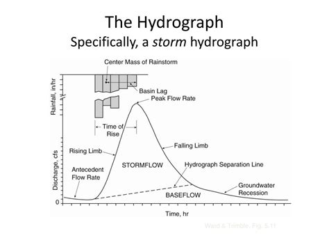 Storm Hydrograph Explained 的图像结果