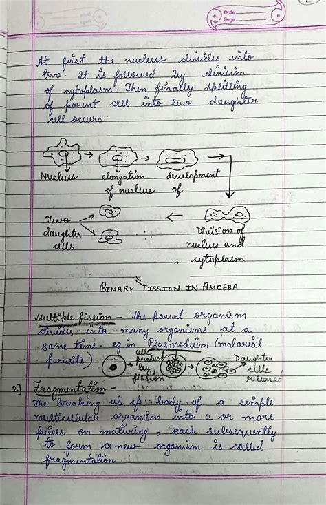Image result for How Do Organisms Reproduce Class 10 Explanation