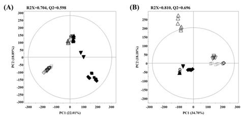 Metabolite Profiling and Anti-Aging Activity of Rice Koji Fermented ...