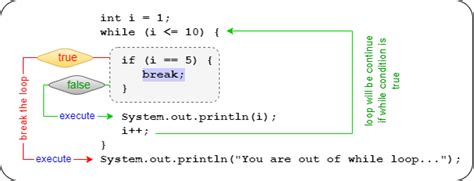 Image result for Break Java for Loop