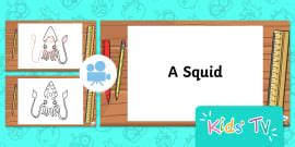 How to Draw a Squid (teacher made) - Twinkl