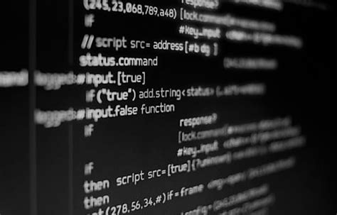 Software Program 的图像结果