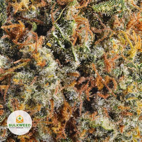 Girl Scout Cookies Weed