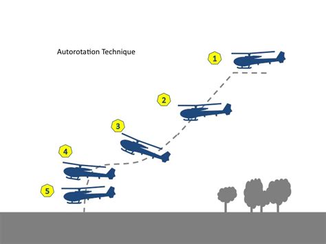 Image result for Autorotation