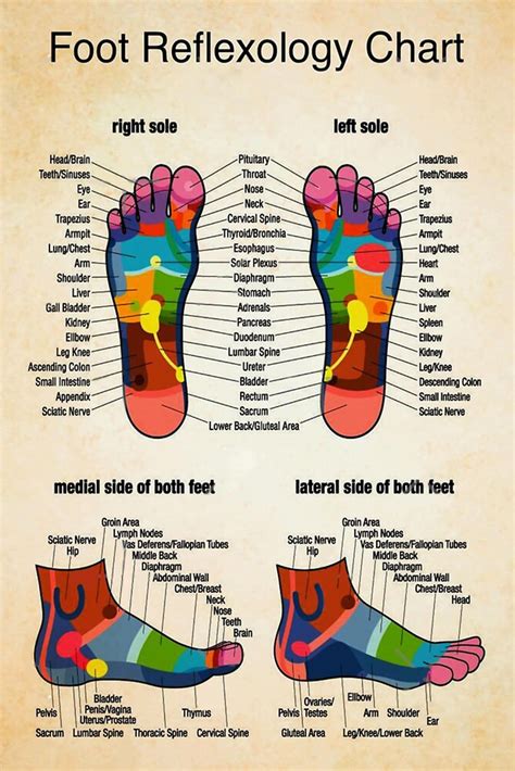 Massage Therapist Foot Reflexology Chart 1 Poster Vintage - Etsy ...