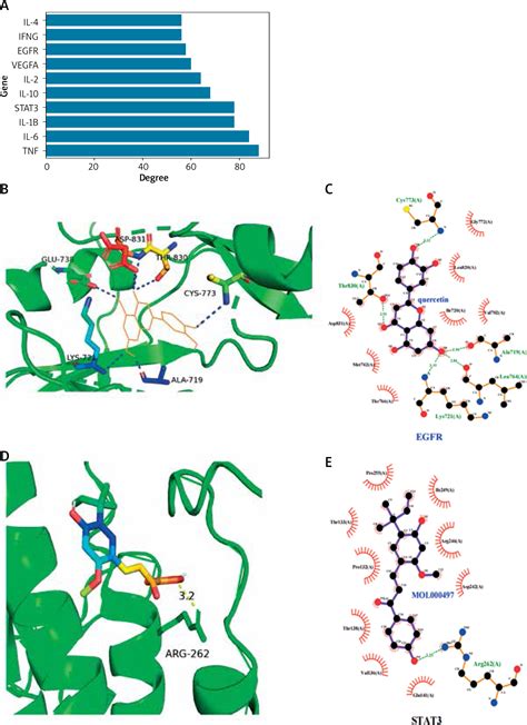 Mechanism of pruritus ani lotion combined with Huajiao-Gancao-Bingpian oil for pruritus ani ...